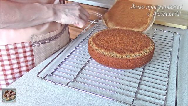 Шоу и Концерты