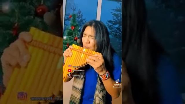 Вот ещё один индеец на индейском инструменте играет.