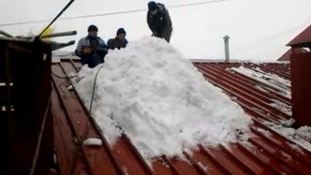 павлик, диман и макс смотреть онлайн
