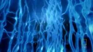 Анатомия и физиология человека  От рождения до смерти  Подробно и наглядно