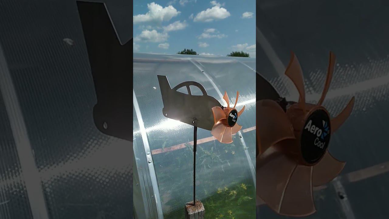 6 июля 2023 г. смотреть онлайн