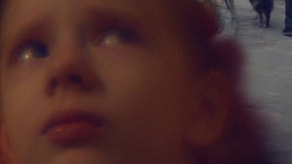 Карусель/The Ferris Wheel (2024)