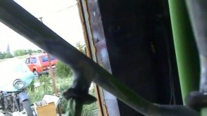 новый шоссер из старой украины