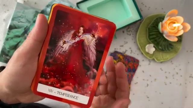 CHAKRA WISDOW TAROT Review em Português ?? смотреть онлайн