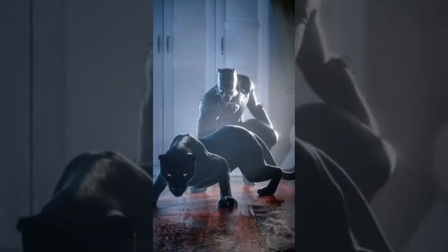 Проект_04-03_Full HD 1080p_MEDIUM_FR30.mp4