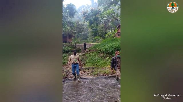 Natalee dan Ung Aing masuk sekolah dulu,, Orangutan Sumatera (Pongo abelii)?? смотреть онлайн