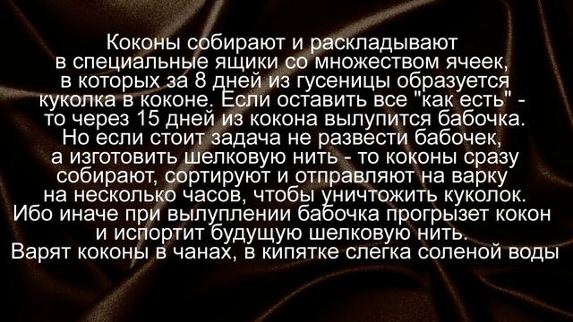 ПУТЬ ОТ БАБОЧКИ К ШЕЛКОВОЙ ТКАНИ (Silk Production) смотреть онлайн