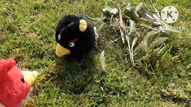 Angry birds cinematic trailer plush Recreation! смотреть онлайн