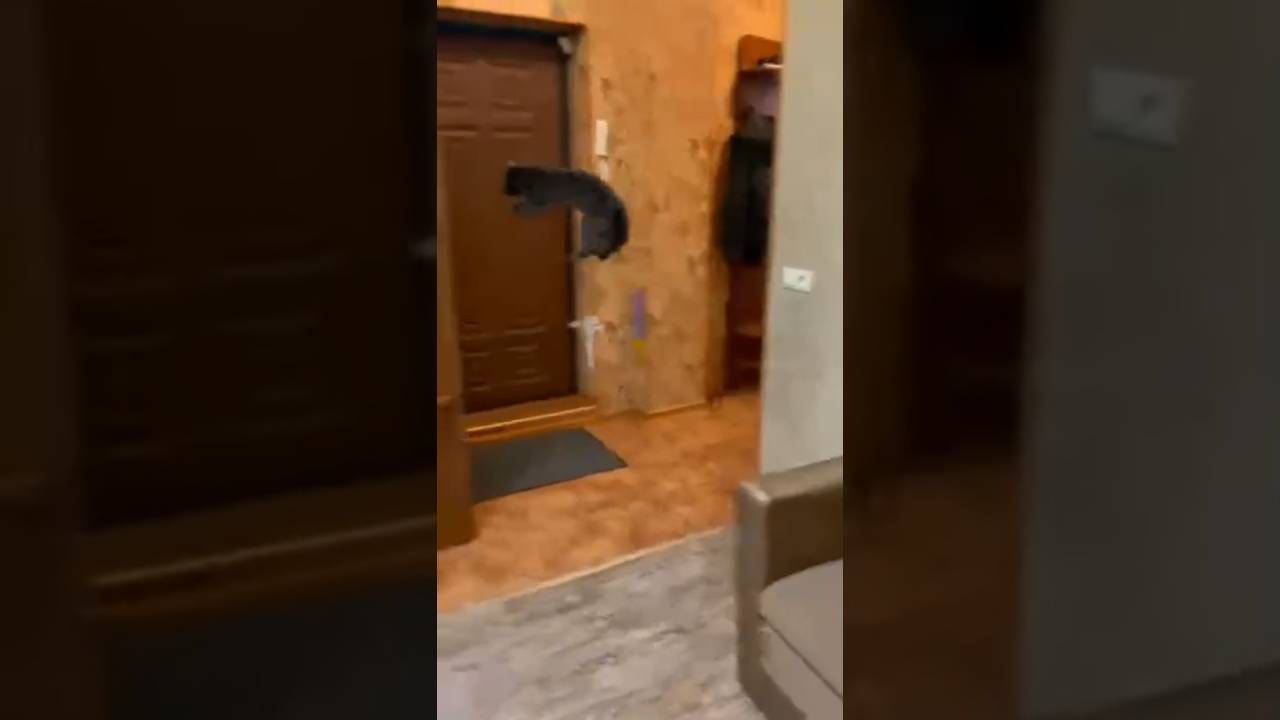 Суету наводит смотреть онлайн