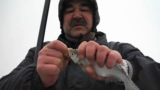 Густера осенью смотреть онлайн