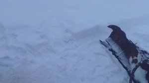 Роторный снегоуборщик на трактор Т25 делаю своими руками. Вторая часть.