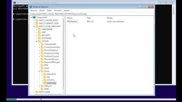 Como Instalar Windows 11 23H2 do Zero Sem Compatibilidade e TPM 2 0 смотреть онлайн