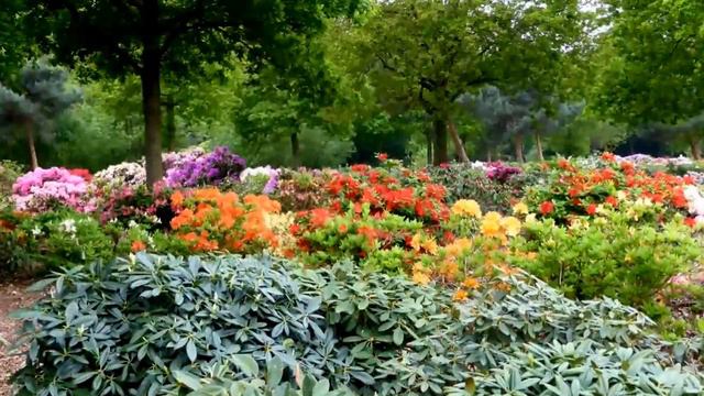 Rhododendron Park in Bremen von Klaus und Regina Lilienthal смотреть онлайн