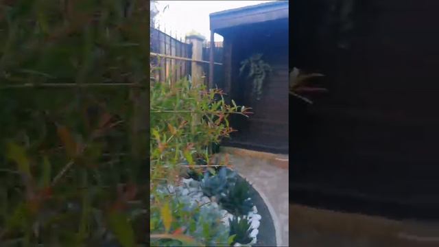 Обзор дома с участком смотреть онлайн