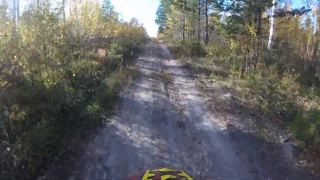 Квыдрик после ремонта. Местный лес. Новая камера - Часть 12 смотреть онлайн