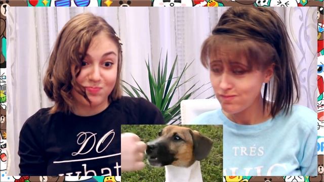 СМЕЯТЬСЯ ЗАПРЕЩАЕТСЯ || CHALLENGE с Мамой смотреть онлайн