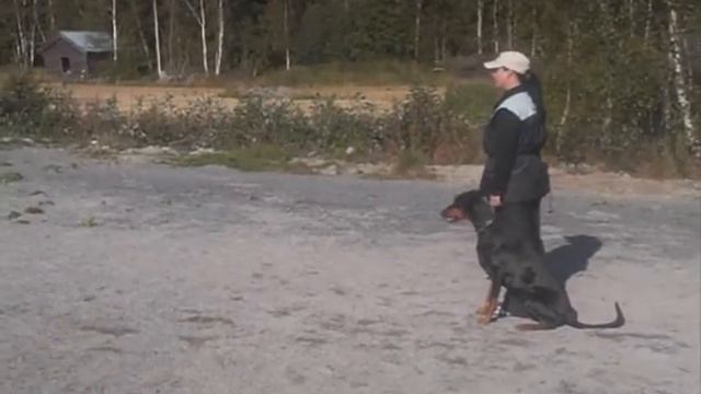 Dina avo смотреть онлайн