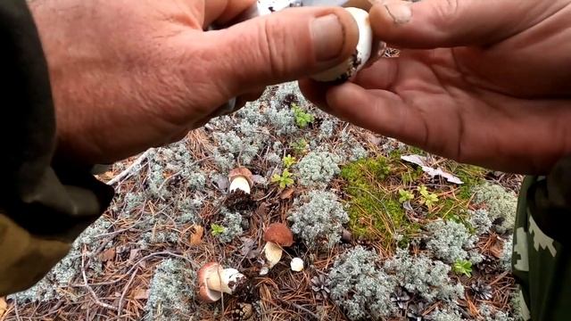 Карелия.Поездка заканчивается,но слой не унимается.10-11.09.22 смотреть онлайн