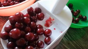 Обзор удалителя косточек VETTA. Стоит ли покупать?