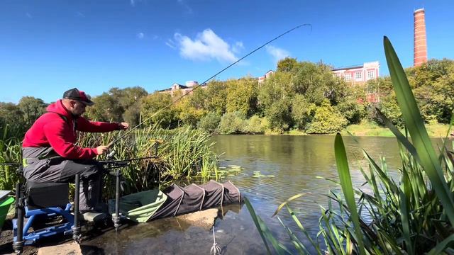 Рыбалка на Клязьме. Осенняя ловля леща #фидер #рыбалка смотреть онлайн