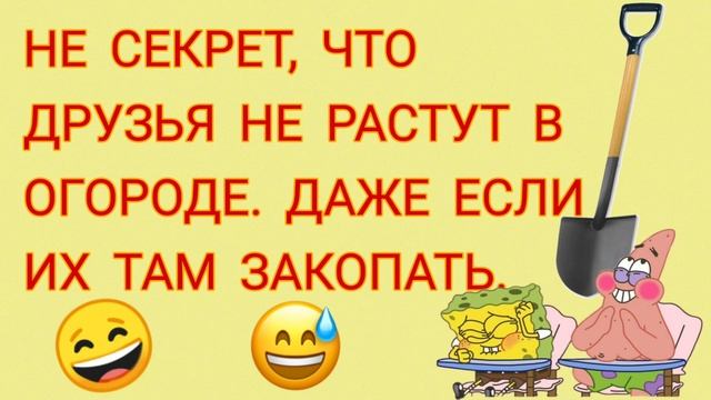 Приколы. Анекдоты. Весёлые картинки смотреть онлайн