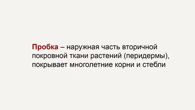 Ткани растений смотреть онлайн