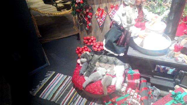 Гномы в Норвегии смотреть онлайн