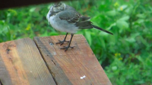 Строительная Зона