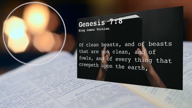 Atheist Reads the Bible: Where Did The Water Go? Genesis Chapter 7 смотреть онлайн