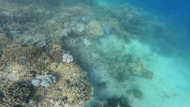 Я ОСТАЛСЯ ОДИН НА ОСТРОВЕ. ВЫЖИВАНИЕ БЕЗ ЕДЫ И ВОДЫ [№2 СБОРНИК 7 го СЕЗОНА] смотреть онлайн