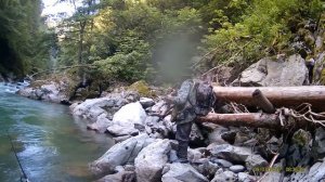 Ловля форели на реках Северного Кавказа.