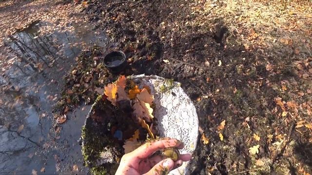 Тысячи рыбок в луже! Спасаем их сачком и запускаем в болото. смотреть онлайн