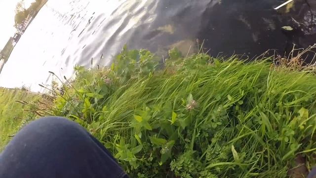 Topwater Fishing With The Savage Gear 3D SNAKE! Crazy Fishing Lure