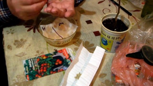 ПОМИДОРЫ КОМНАТНЫЕ, теперь поступим по старому смотреть онлайн