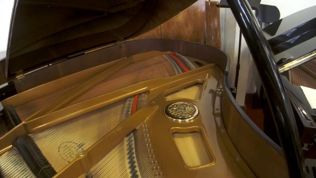 Piano à queue Petrof 190 n°581652 смотреть онлайн