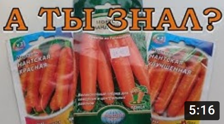 ЛУЧШИЕ сорта МОРКОВИ для посева под зиму смотреть онлайн