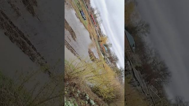 Уаз Патриот против шивролет нивы