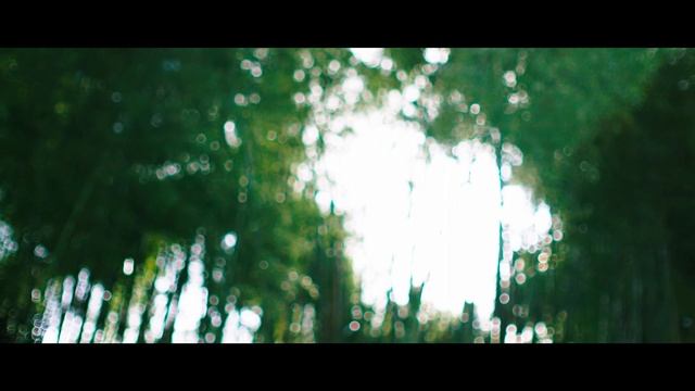SONY FX30 /7artisans 35mm T1.05 (４K test footage) смотреть онлайн