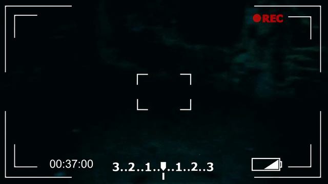 Когда страшно, темно и сыро