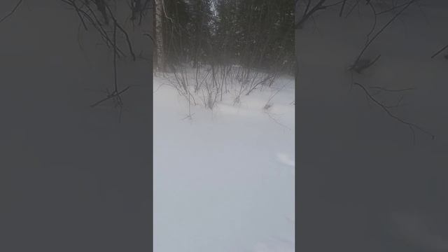 Зимняя рыбалка на севере. Г. Радужный ХМАО-Югра смотреть онлайн