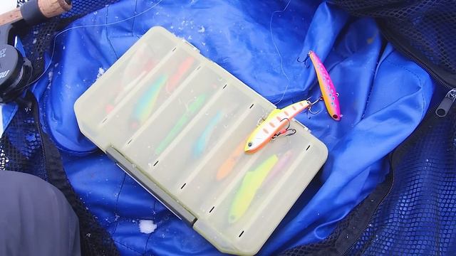 Здесь тучи судака, но он не клюёт! Отвечаю на Ваши вопросы. смотреть онлайн