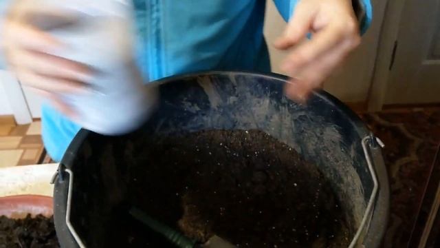 Розмарин выращивание и уход | Как вырастить розмарин дома из черенка смотреть онлайн