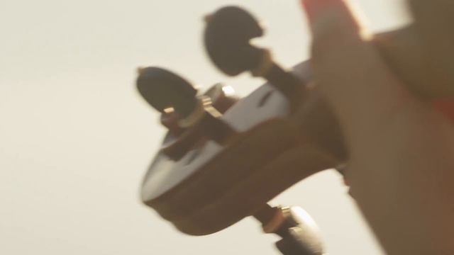 The Four Seasons 'Spring' By Vivaldi - I. Allegro