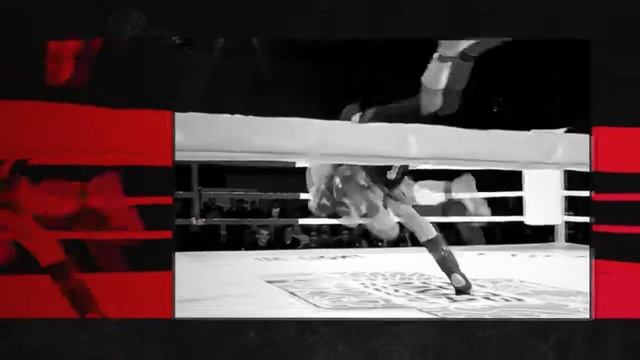 Официальное приглашение на турнира по ММА RED CITY FIGHTS 2 'Все для ПОБЕДЫ!' смотреть онлайн