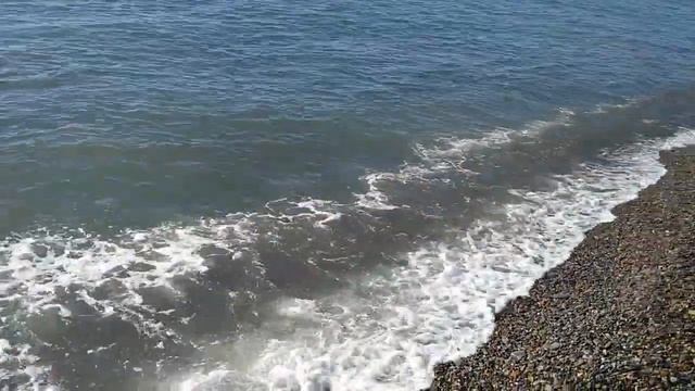 Dolphin sea sounds and whale songs, ocean sound for relaxation, meditation, sleep, river sound смотреть онлайн