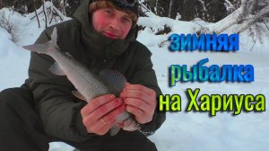 Зимняя рыбалка на ХАРИУСА!Рыбалка в Коми на таёжной реке.Два хариуса на одну удочку,рыбалка удалась!