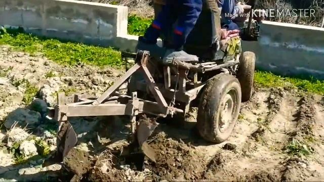 24 апреля 2020 г.