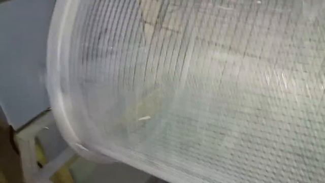 Просеиватель смотреть онлайн