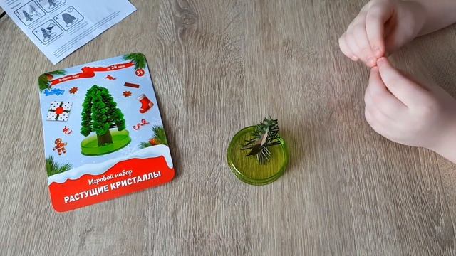 Выращиваем кристаллы за 24 часа/ЕЛКА ИЗ КРИСТАЛЛОВ смотреть онлайн