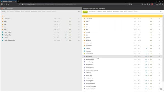 Instalando Moodle em hospedagem com Vesta Control Panel смотреть онлайн